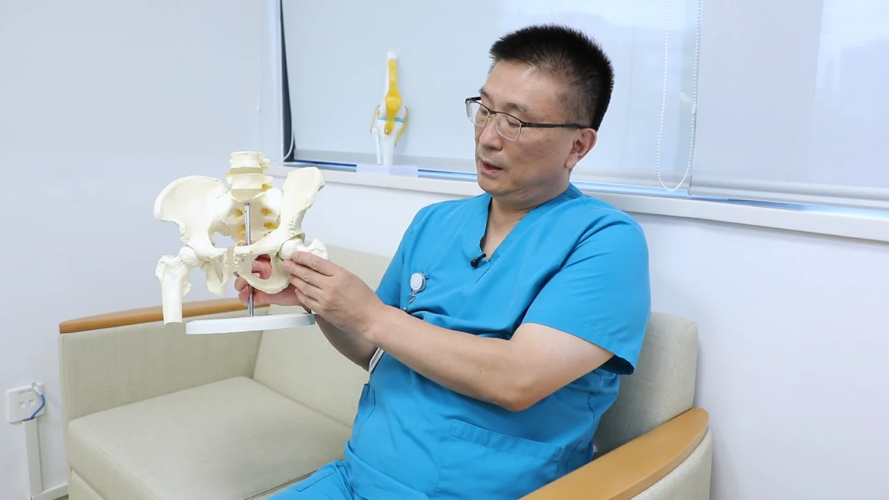 Dr. Liu Wanjun, orthopedic expert at Jiahui International Hospital, holding a model of the hip and pelvis